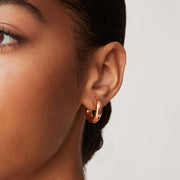 Round Chunky HoopsEarrings – view 73