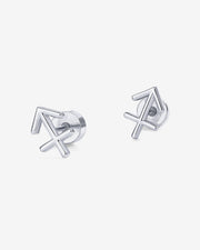What's Your Sign Horoscope Earrings – view 49