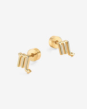 What's Your Sign Horoscope Earrings – view 38