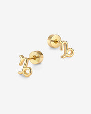 What's Your Sign Horoscope Earrings – view 32