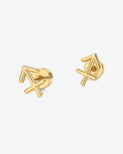 What's Your Sign Horoscope Earrings – view 37