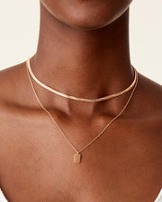 Layered Dog Tag Pendant Necklace – view 11
