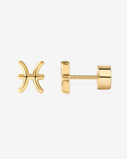 What's Your Sign Horoscope Earrings – view 12