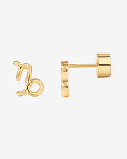 What's Your Sign Horoscope Earrings – view 16