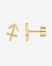 What's Your Sign Horoscope Earrings – view 11
