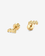 What's Your Sign Horoscope Earrings – view 29